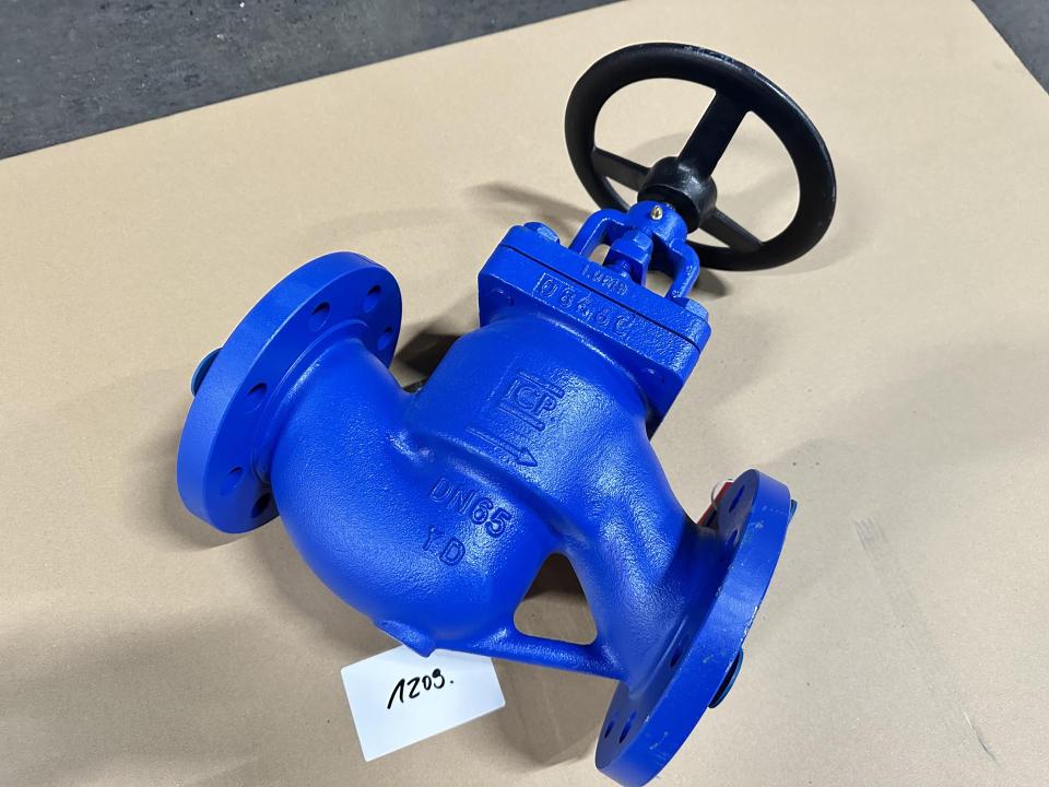 NEW Steel globe Valve Valves