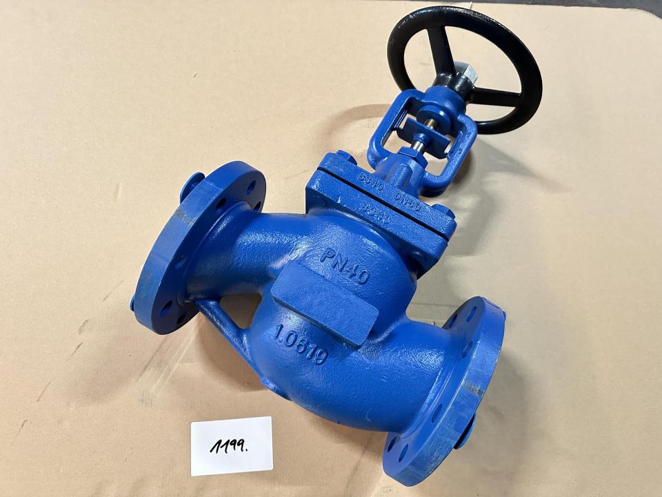 NEW Steel globe Valve Valves