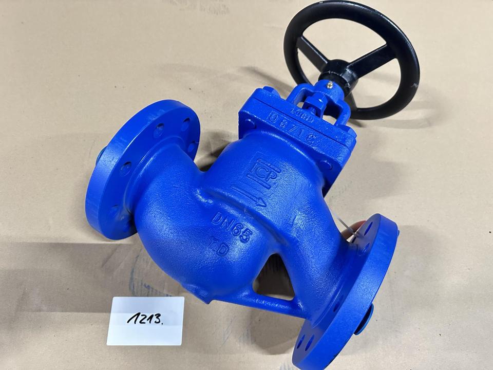 NEW Steel globe Valve Valves