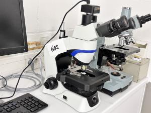 CX43RF Microscope Microscopes